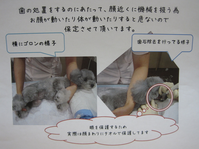 f:id:oceans_group:20130902195505j:image:w640