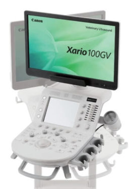 xario 100gv