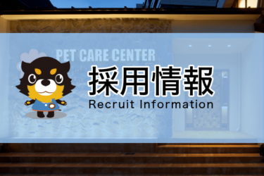 採用情報 recruit information