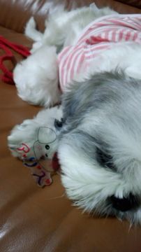f:id:oceans_group:20110918202448j:image:w360 f:id:oceans_group:20110918202448j:image:w360
