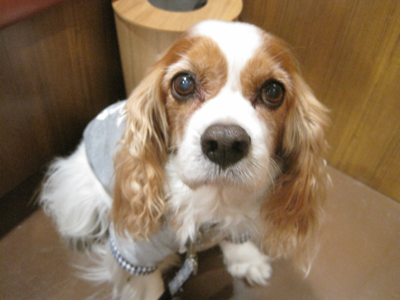 f:id:oceans_group:20121022122911j:image:w360