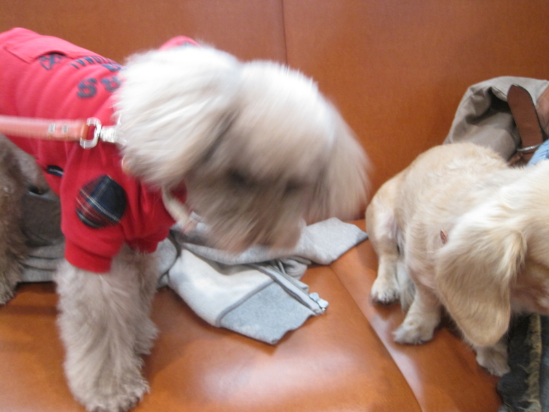 f:id:oceans_group:20121022124950j:image:w360