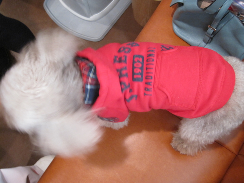 f:id:oceans_group:20121022125039j:image:w360